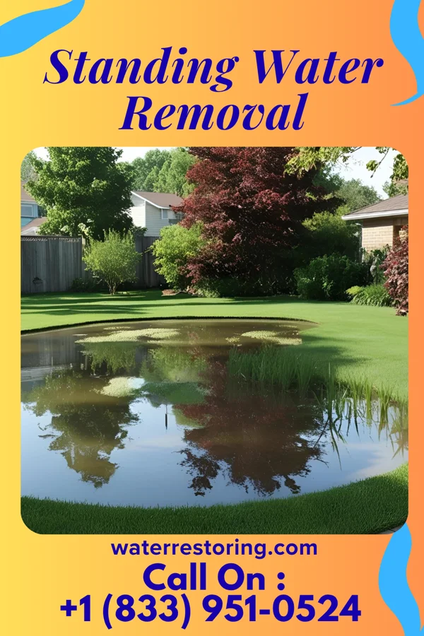 Standing Water Removal in Beacon View, NE